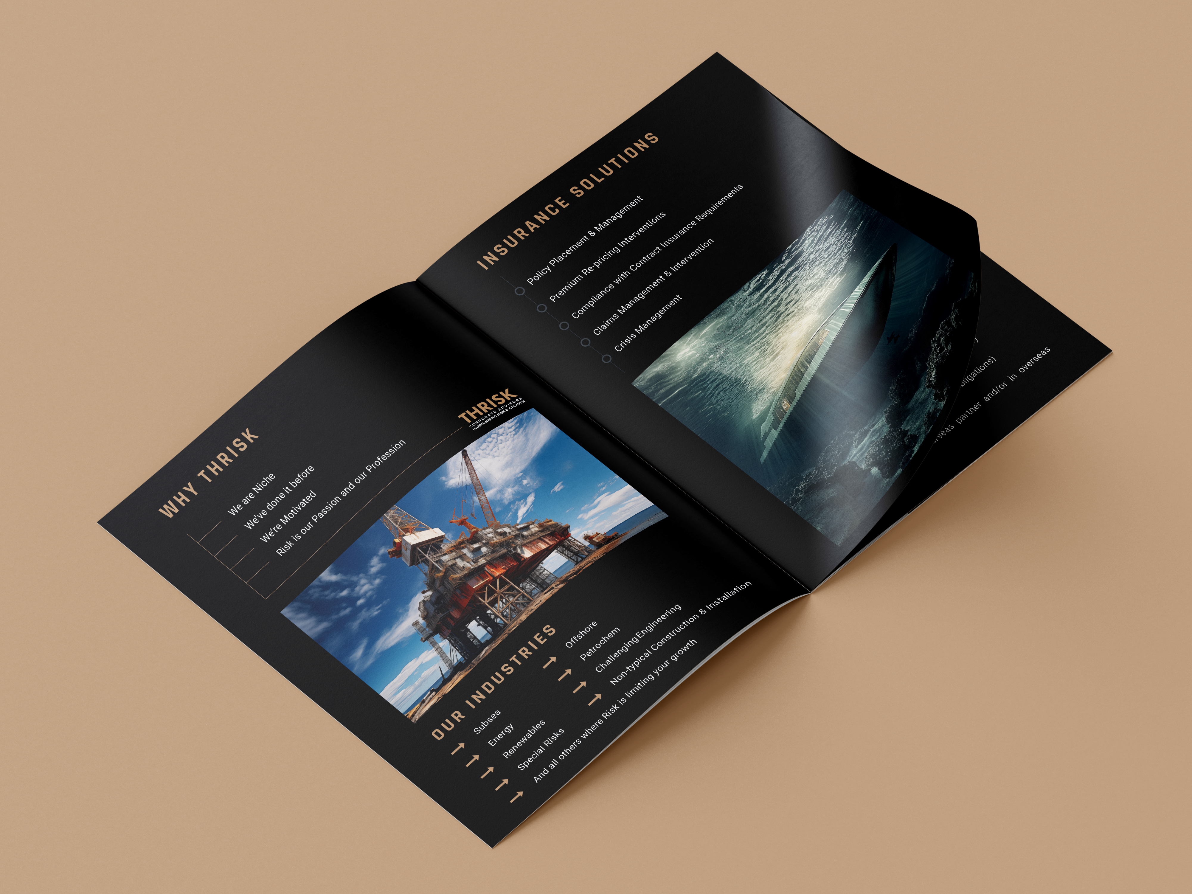 Insurance Capability Statement — Page 2